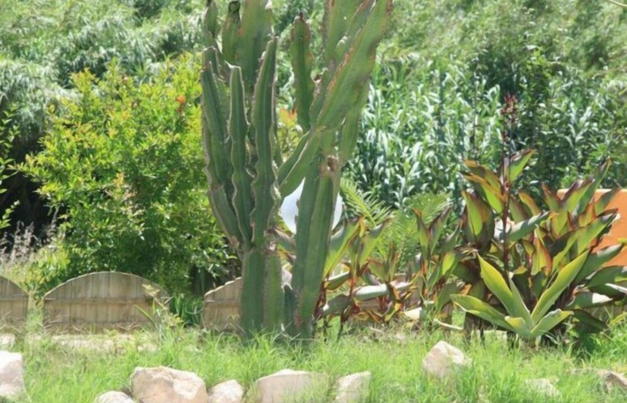 Villa El Minero Gonnesa Bagian luar foto
